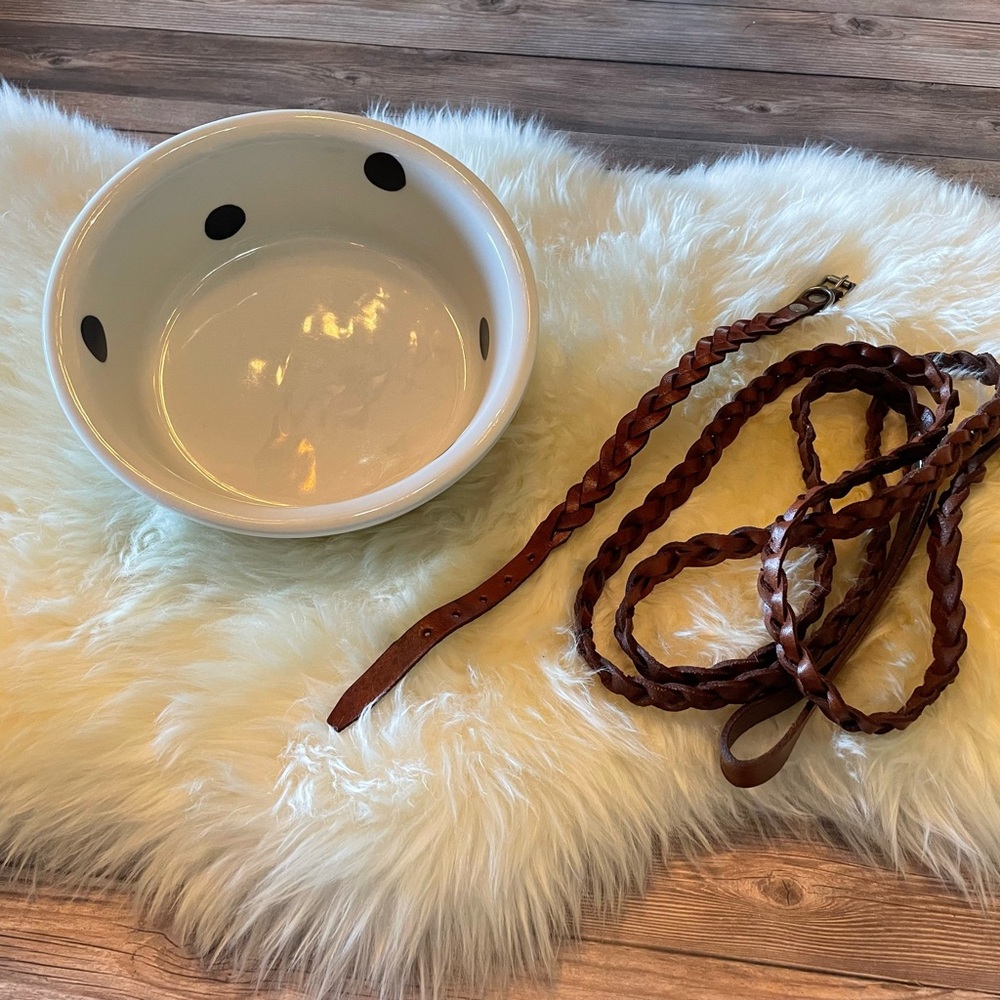 Leather Leash • Collar and Ceramic Polka Dot Bowl